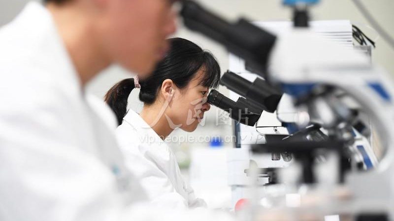 CDMO项目评估：流程解析与关键要点
