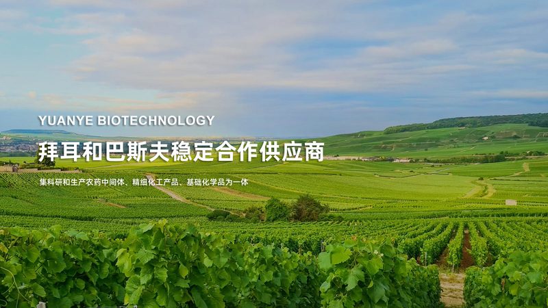 细胞工厂维护操作：确保稳定生产的秘诀**