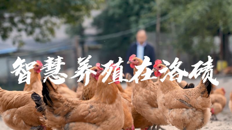 生物科技肥料与化肥：本质区别与选择要点