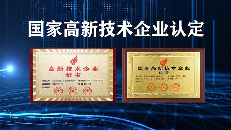 生物药CDMO规模参数：揭秘生物药生产的关键要素**