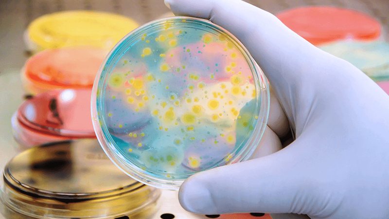 生物科技医疗应用，如何选择合适的技术平台？**