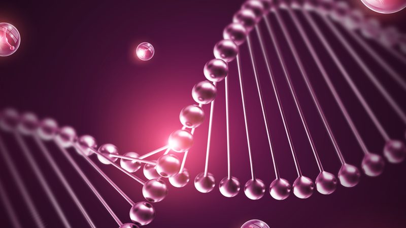 CDMO商业模式：揭秘医药研发背后的“隐形推手