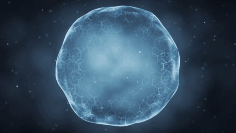 生物科技研发流程：揭秘报价背后的关键要素**