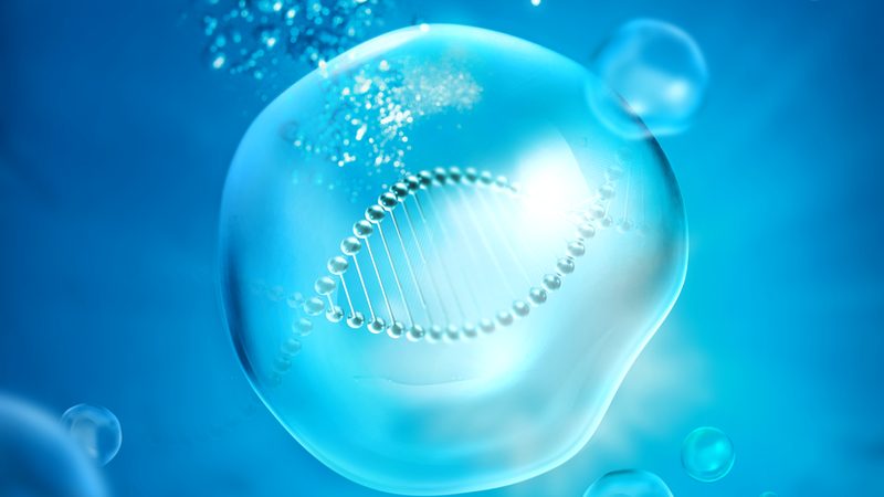 小分子药物研发的加速器：揭秘临床前外包公司的价值**