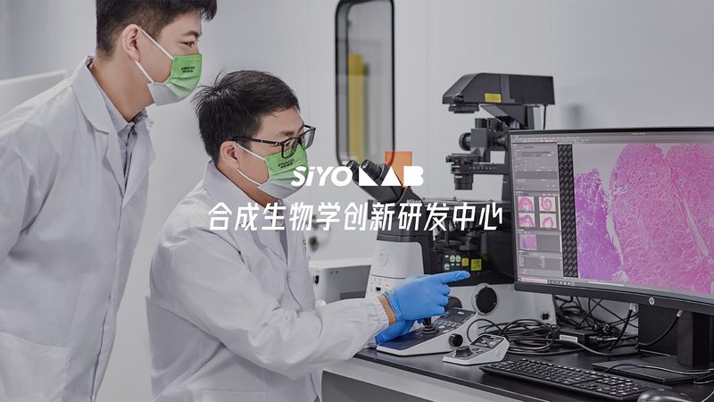 逆转录酶：生物医药研发中的关键“功臣”**