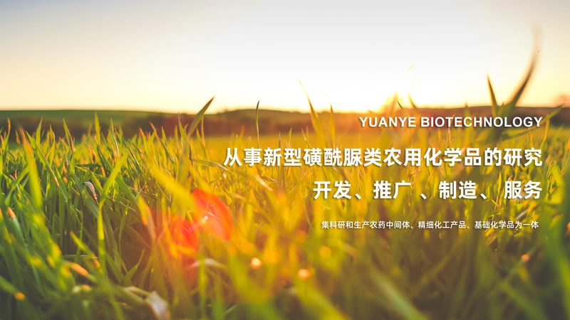 医用移液器材质分类：揭秘其背后的规范与选择**